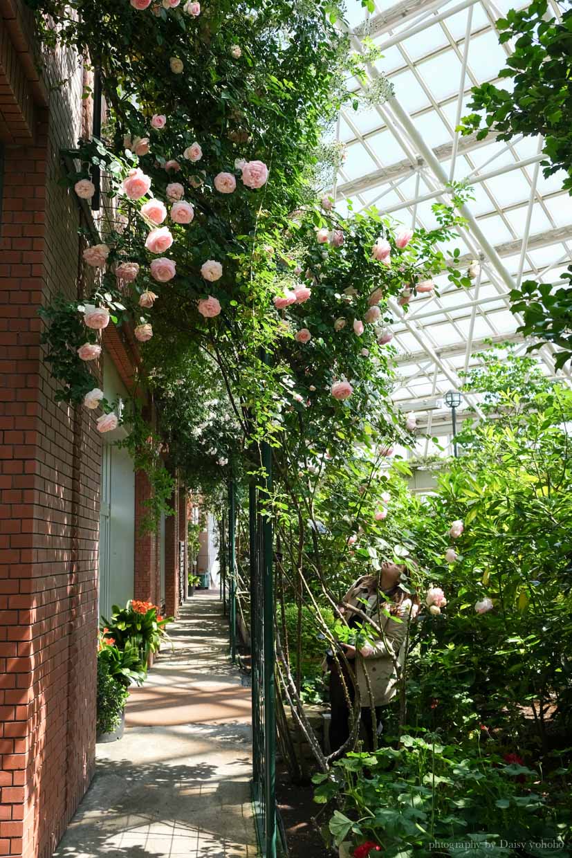 green land, 北海道格林樂園, グリーンランド, 北海道遊樂園, 札幌近郊, 札幌景點, 北海道景點, 札幌摩天輪