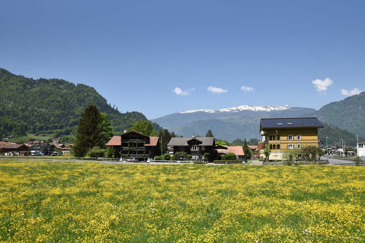 grindelwald, 格林德瓦, 格林德瓦住宿, 格林德瓦超市, 格林德瓦交通, 格林德瓦景點, 格林德瓦車站, 瑞士自助, 瑞士自由行