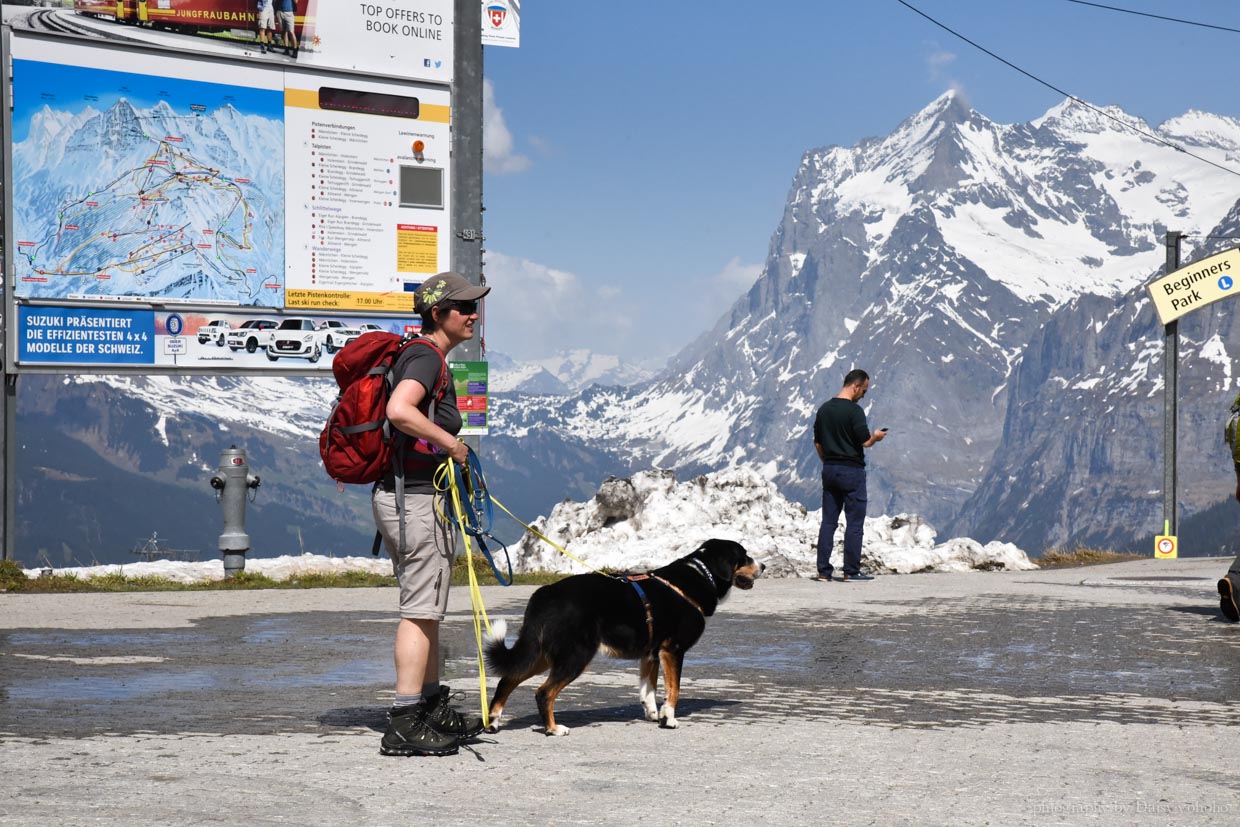 grindelwald, 格林德瓦, 格林德瓦住宿, 格林德瓦超市, 格林德瓦交通, 格林德瓦景點, 格林德瓦車站, 瑞士自助, 瑞士自由行