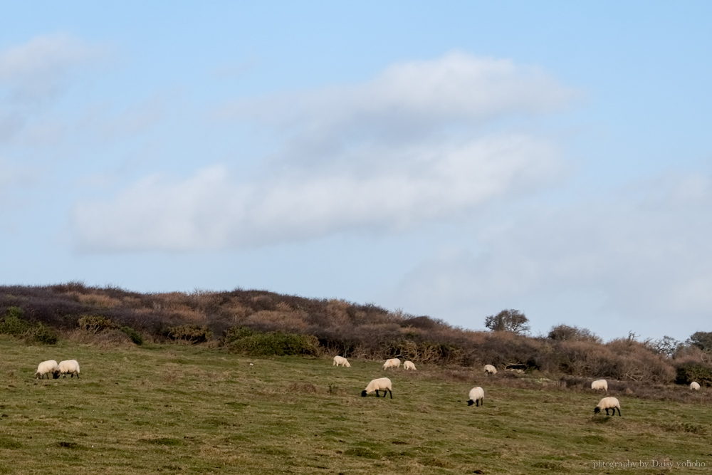 Seven Sisters Cliff, 七姊妹巖, 布萊頓近郊, 倫敦近郊, Eastbourne, 世界的盡頭, 七姊妹交通