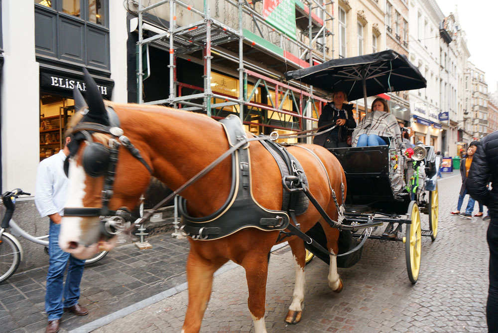 布魯塞爾, Brussels, Bruxelles, 比利時自由行, 布魯塞爾自助, 布魯塞爾景點, 布魯塞爾一日遊, 黃金廣場