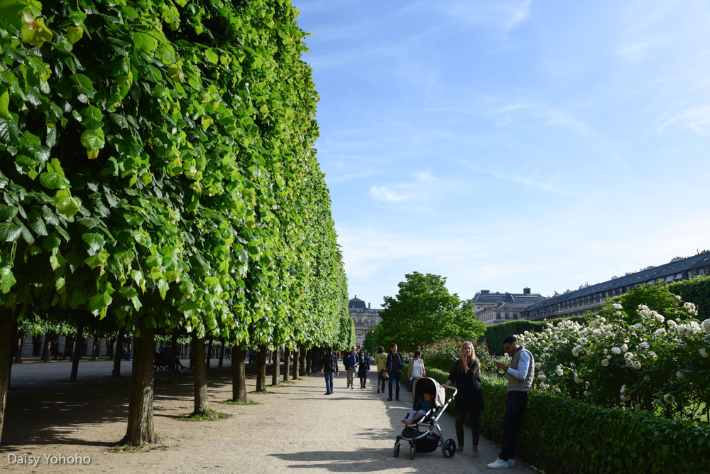 Daniel Buren柱, 黑白柱, 皇家宫殿, Palais Royal, 現代柱子作品, 兩個平台, Les Deux Plateaux, 巴黎景點, 巴黎網美景點