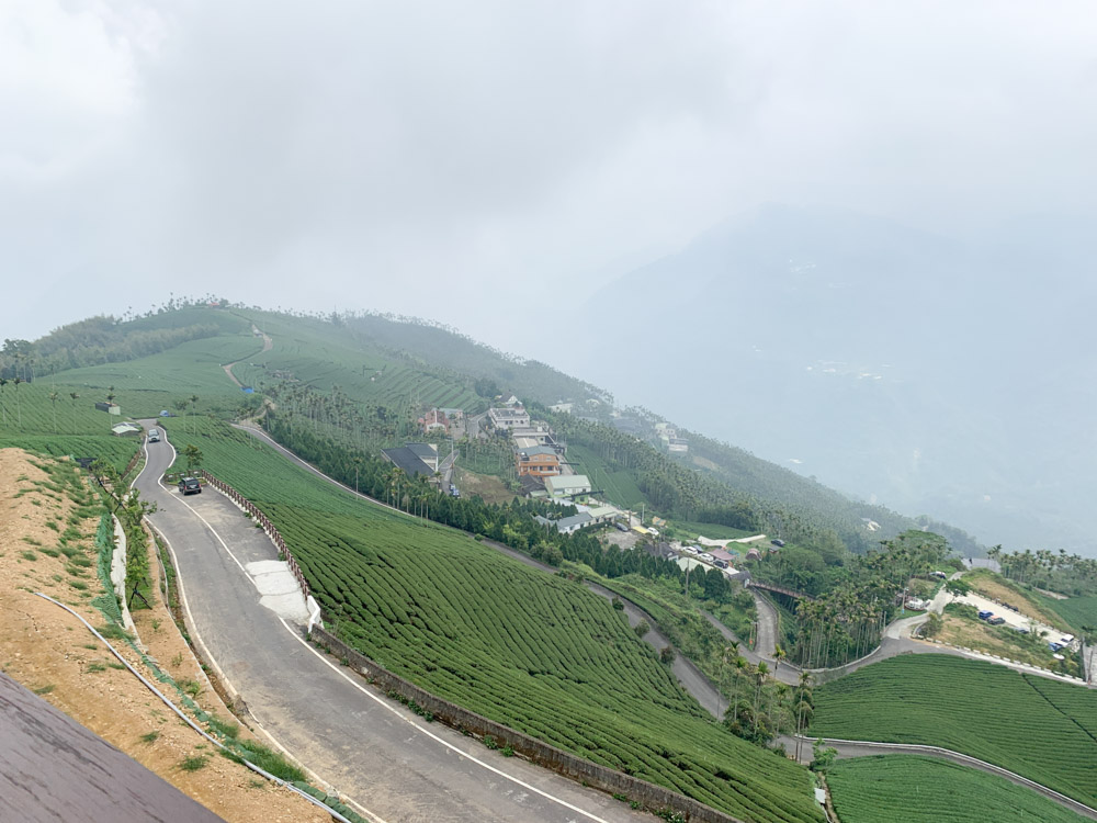 碧湖山觀光茶園, 阿里山茶, 民宿, 太平36彎, 阿里山國家風景區, 碧湖山民宿