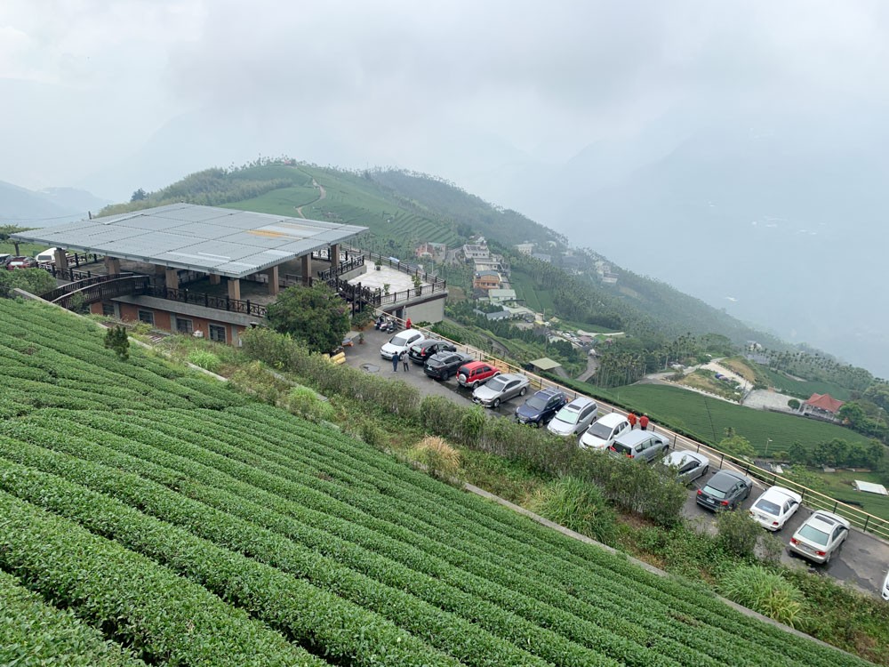 碧湖山觀光茶園, 阿里山茶, 民宿, 太平36彎, 阿里山國家風景區, 碧湖山民宿