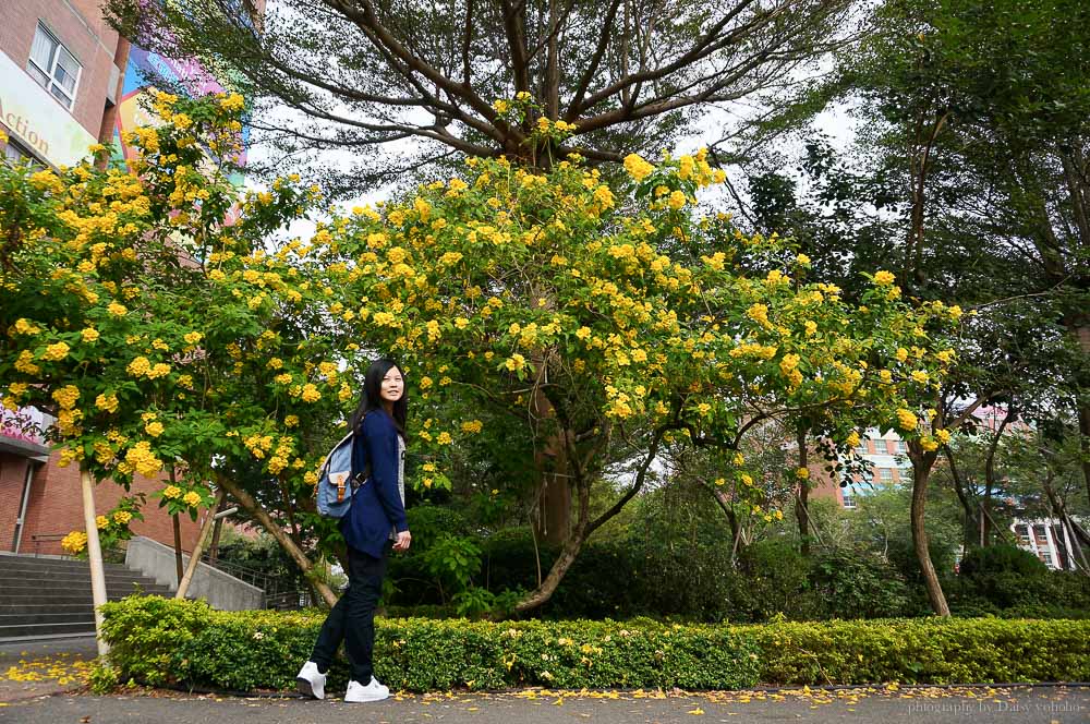 亞洲大學, Asia University, 台中景點, 霧峰景點, 羅馬競技場, 圓頂建築, 安藤忠雄設計, 婚紗地點