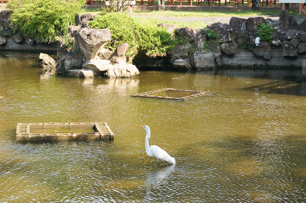 台北景點, 士林官邸景點, 士林雙溪公園步道, 新北雙溪公園