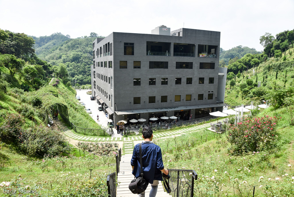 雅聞七里香玫瑰森林, 苗栗景點, 頭屋景點, 玫瑰花園, 苗栗旅遊, 免門票景點, 玫瑰花季, 雅聞觀光工廠