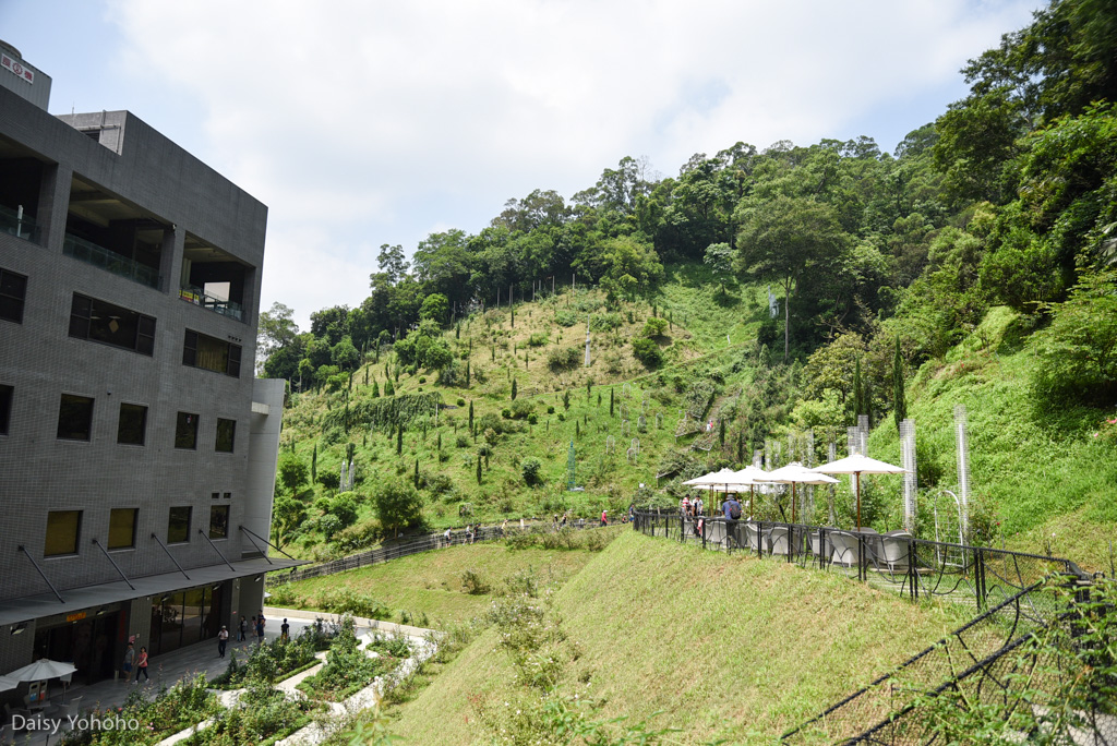 雅聞七里香玫瑰森林, 苗栗景點, 頭屋景點, 玫瑰花園, 苗栗旅遊, 免門票景點, 玫瑰花季, 雅聞觀光工廠