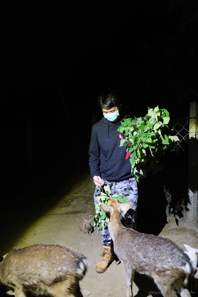 阿信巧克力農場, 夜探梅花鹿, 餵食梅花鹿, 可可生態導覽, 巧克力DIY, 恆春景點, 悠活度假村景點, 屏東巧克力工廠