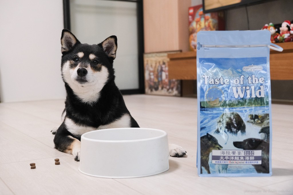 海陸饗宴, 海陸饗宴 Taste of the Wild, 飼料推薦, 無穀飼料, WDJ 推薦飼料, 狗飼料, 低敏狗飼料, 挑嘴狗飼料, 狗飼料 ptt, 柴犬飼料