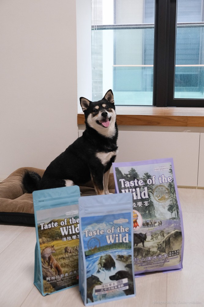 海陸饗宴, 海陸饗宴 Taste of the Wild, 飼料推薦, 無穀飼料, WDJ 推薦飼料, 狗飼料, 低敏狗飼料, 挑嘴狗飼料, 狗飼料 ptt, 柴犬飼料