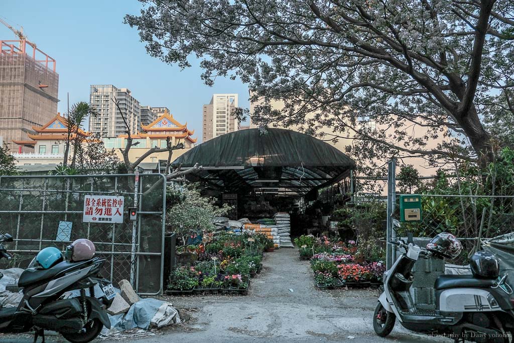 千葉園藝台南安平城市小花園 花草盆栽多樣 老闆服務親切 價格實在