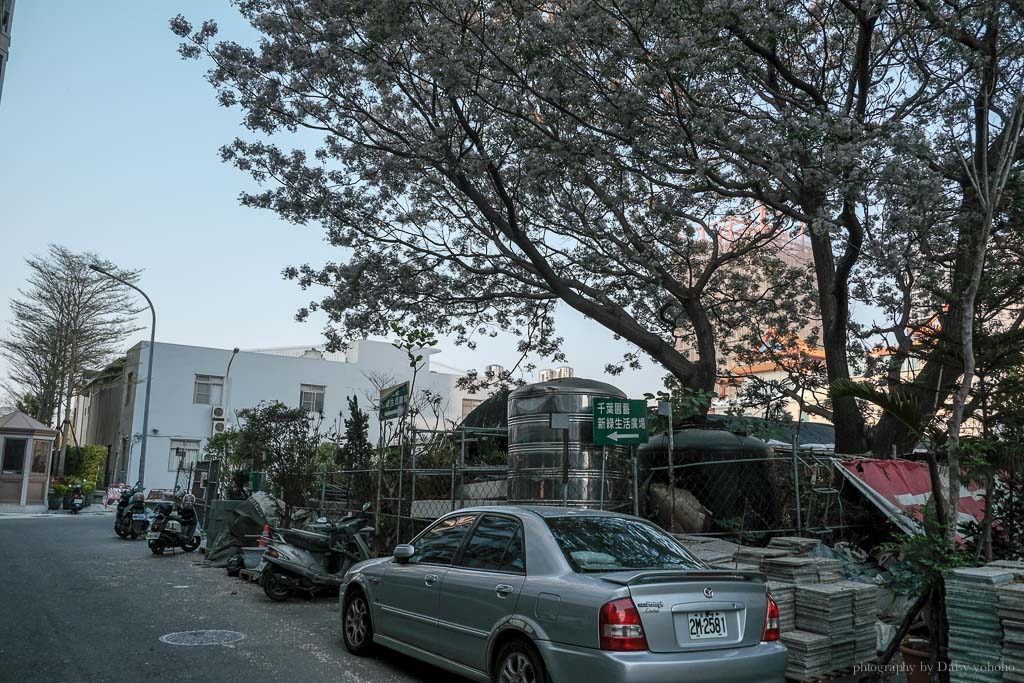 千葉園藝, 台南園藝, 安平園藝店, 台南盆栽, 台南植物, 臺南花市, 台南園藝用品, 臺南多肉植物