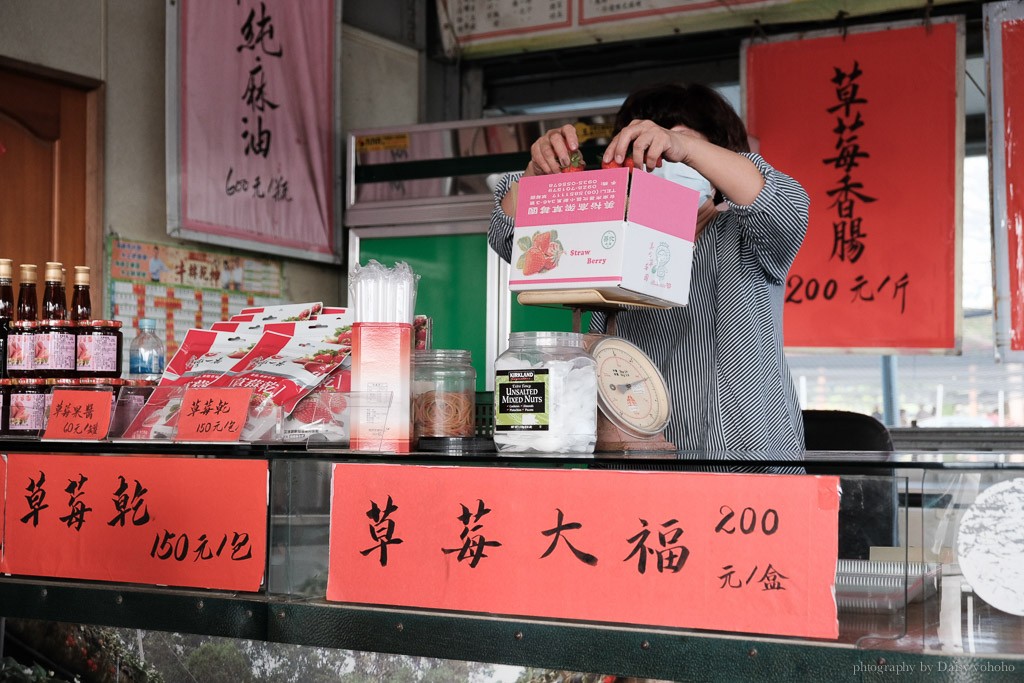 台南草莓季, 美裕草莓園, 善化景點, 台南採草莓, 善化草莓, 高架草莓, 草莓冰淇淋, 草莓冰淇淋, 草莓香腸