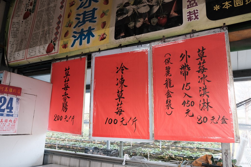 台南草莓季, 美裕草莓園, 善化景點, 台南採草莓, 善化草莓, 高架草莓, 草莓冰淇淋, 草莓冰淇淋, 草莓香腸