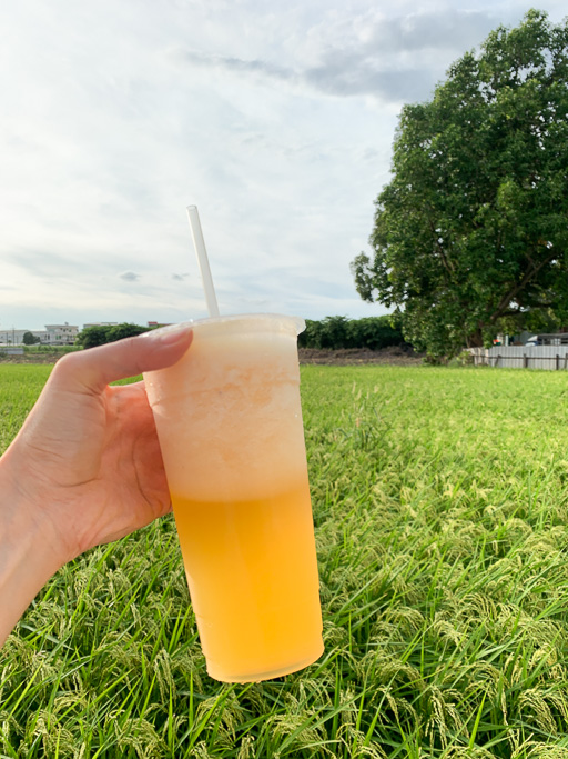 三味果汁, 嘉義飲料, 嘉義古早味, 嘉義果汁, 嘉義美食, 成仁街美食