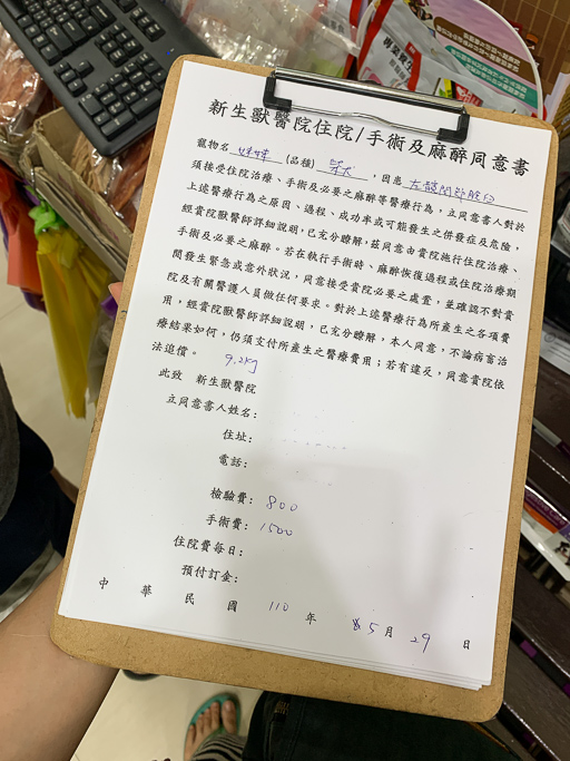 狗狗脫臼, 狗跛腳, 狗脫臼開刀手術費用, 髖關節脫臼, 股骨頭切除手術, 狗狗髖關節保養