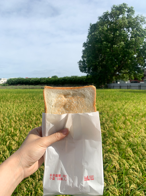 台林街早餐, 台林街美食, 耐斯商圈美食, 嘉義美食, 嘉義早餐, 粉漿蛋餅