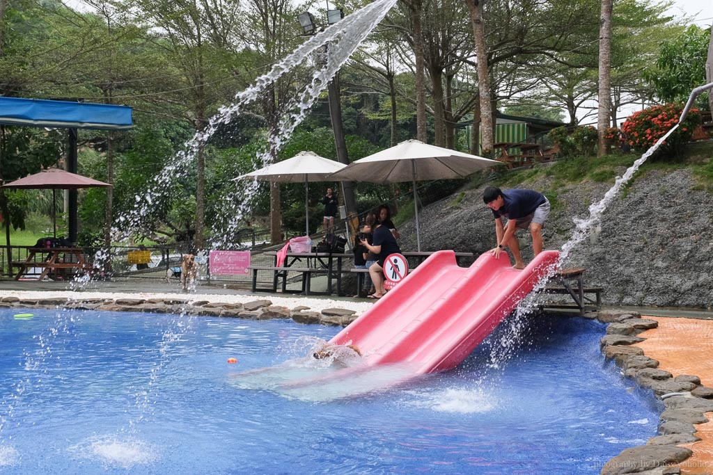 森呼吸寵物休閒廣場, 關廟景點, 台南寵物樂園, 台南毛小孩游泳池, 森呼吸狗大小收費, 狗狗玩水泳池