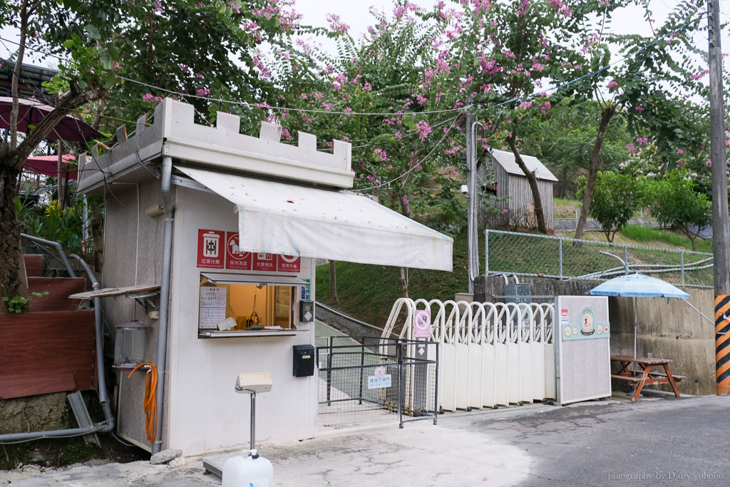 森呼吸寵物休閒廣場, 關廟景點, 台南寵物樂園, 台南毛小孩游泳池, 森呼吸狗大小收費, 狗狗玩水泳池