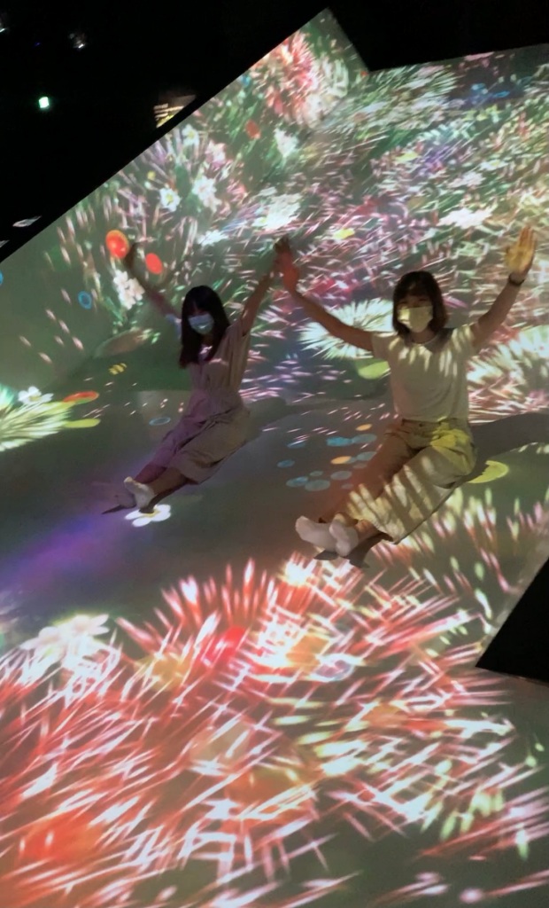 teamlab, 台北展覽, teamLab未來遊樂園&與花共生的動物們, 東京燈光秀, 台北燈光投射展, teamlab 票價, tamlab雙人套票優惠, 台灣teamlab