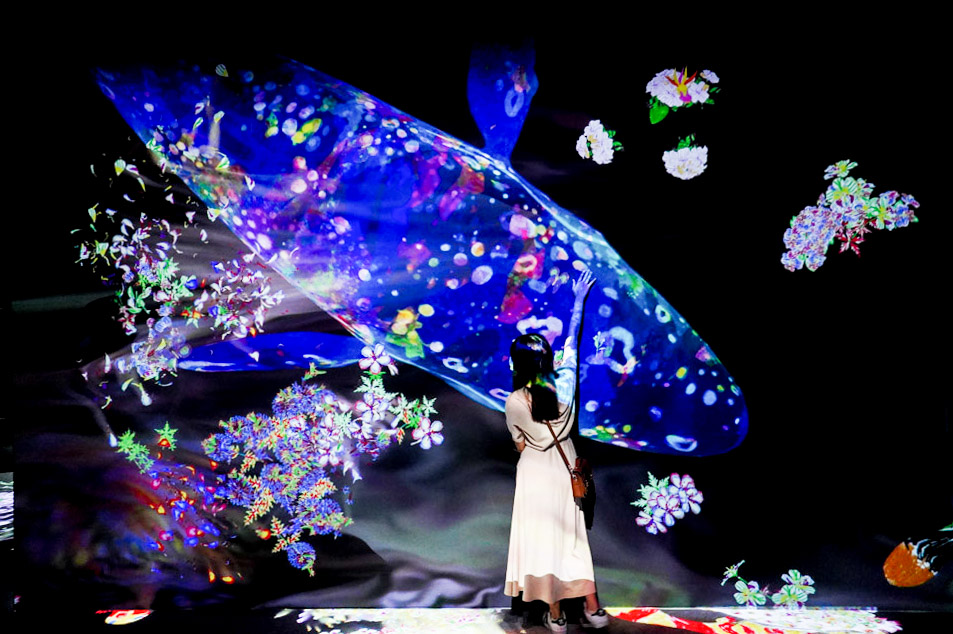 teamlab, 台北展覽, teamLab未來遊樂園&與花共生的動物們, 東京燈光秀, 台北燈光投射展, teamlab 票價, tamlab雙人套票優惠, 台灣teamlab