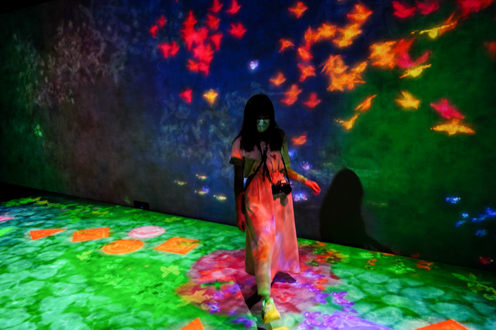 teamlab, 台北展覽, teamLab未來遊樂園&與花共生的動物們, 東京燈光秀, 台北燈光投射展, teamlab 票價, tamlab雙人套票優惠, 台灣teamlab