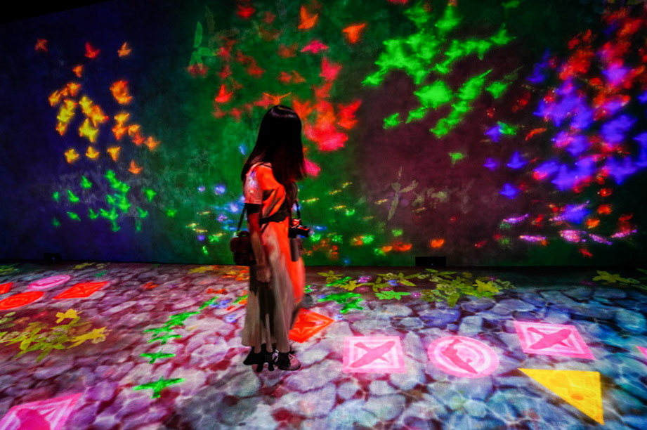 teamlab, 台北展覽, teamLab未來遊樂園&與花共生的動物們, 東京燈光秀, 台北燈光投射展, teamlab 票價, tamlab雙人套票優惠, 台灣teamlab