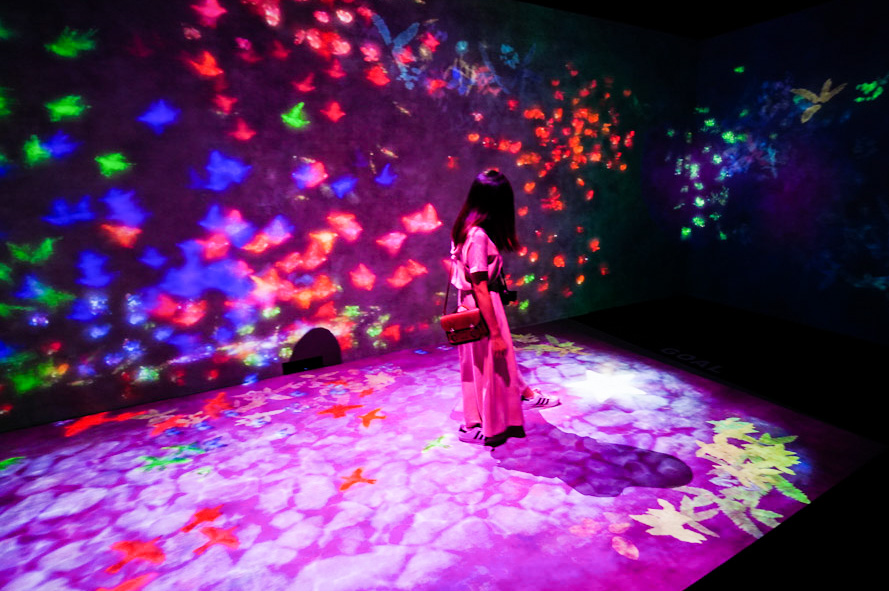 teamlab, 台北展覽, teamLab未來遊樂園&與花共生的動物們, 東京燈光秀, 台北燈光投射展, teamlab 票價, tamlab雙人套票優惠, 台灣teamlab