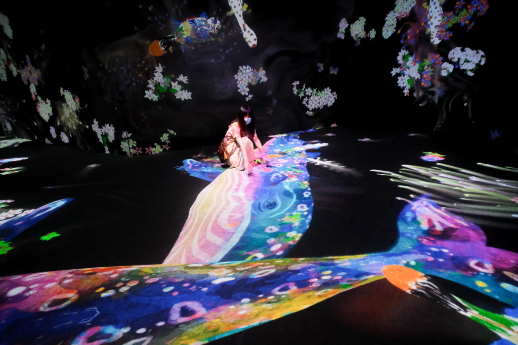 teamlab, 台北展覽, teamLab未來遊樂園&與花共生的動物們, 東京燈光秀, 台北燈光投射展, teamlab 票價, tamlab雙人套票優惠, 台灣teamlab