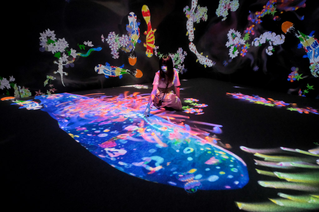 teamlab, 台北展覽, teamLab未來遊樂園&與花共生的動物們, 東京燈光秀, 台北燈光投射展, teamlab 票價, tamlab雙人套票優惠, 台灣teamlab