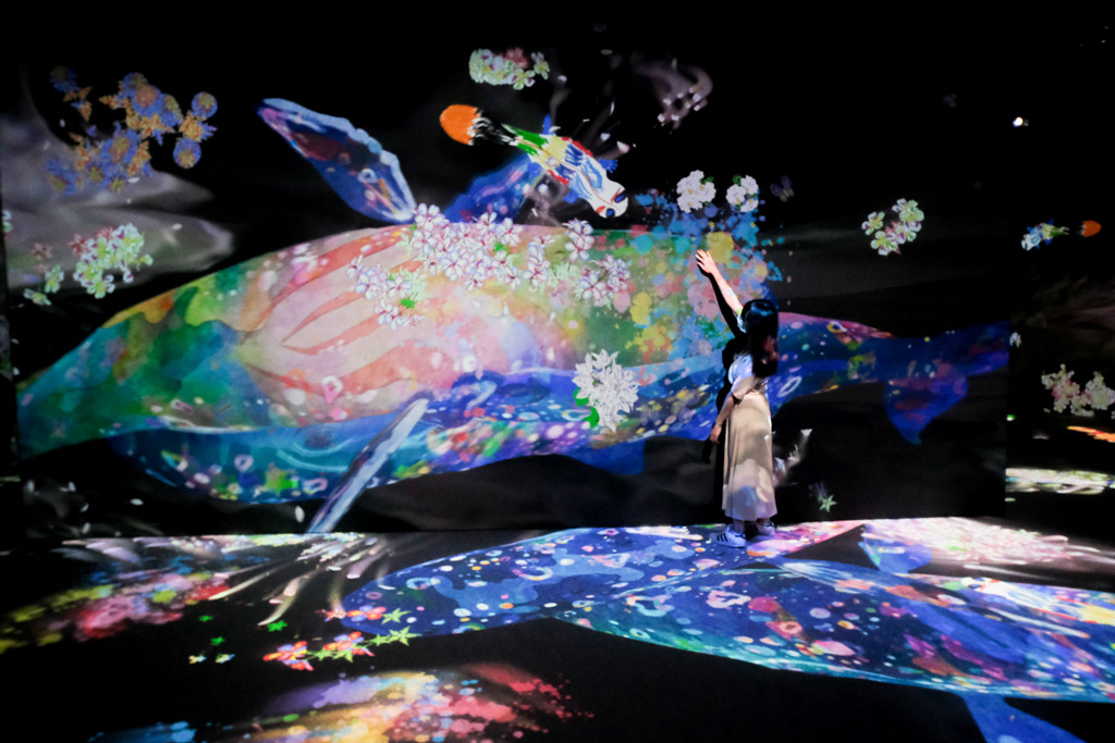 teamlab, 台北展覽, teamLab未來遊樂園&與花共生的動物們, 東京燈光秀, 台北燈光投射展, teamlab 票價, tamlab雙人套票優惠, 台灣teamlab