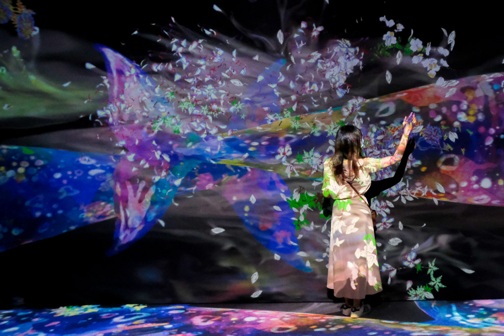 teamlab, 台北展覽, teamLab未來遊樂園&與花共生的動物們, 東京燈光秀, 台北燈光投射展, teamlab 票價, tamlab雙人套票優惠, 台灣teamlab