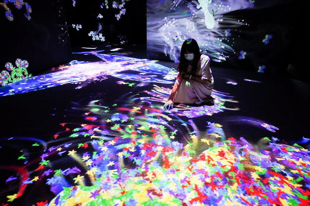 teamlab, 台北展覽, teamLab未來遊樂園&與花共生的動物們, 東京燈光秀, 台北燈光投射展, teamlab 票價, tamlab雙人套票優惠, 台灣teamlab