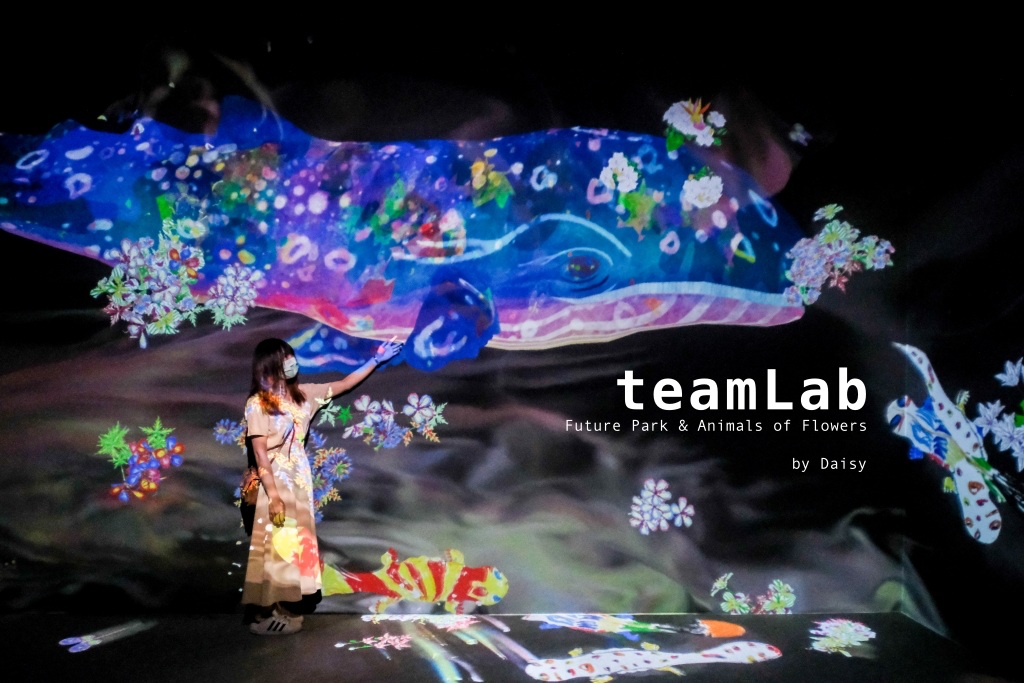 台灣台北展覽teamlab參觀遊記封面照片