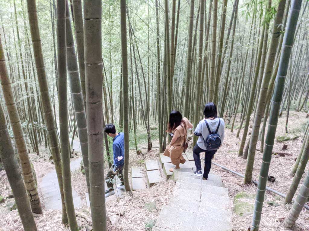 孟宗竹林古戰場｜長源圳生態步道，南投鹿谷小半天風景區的山間步道
