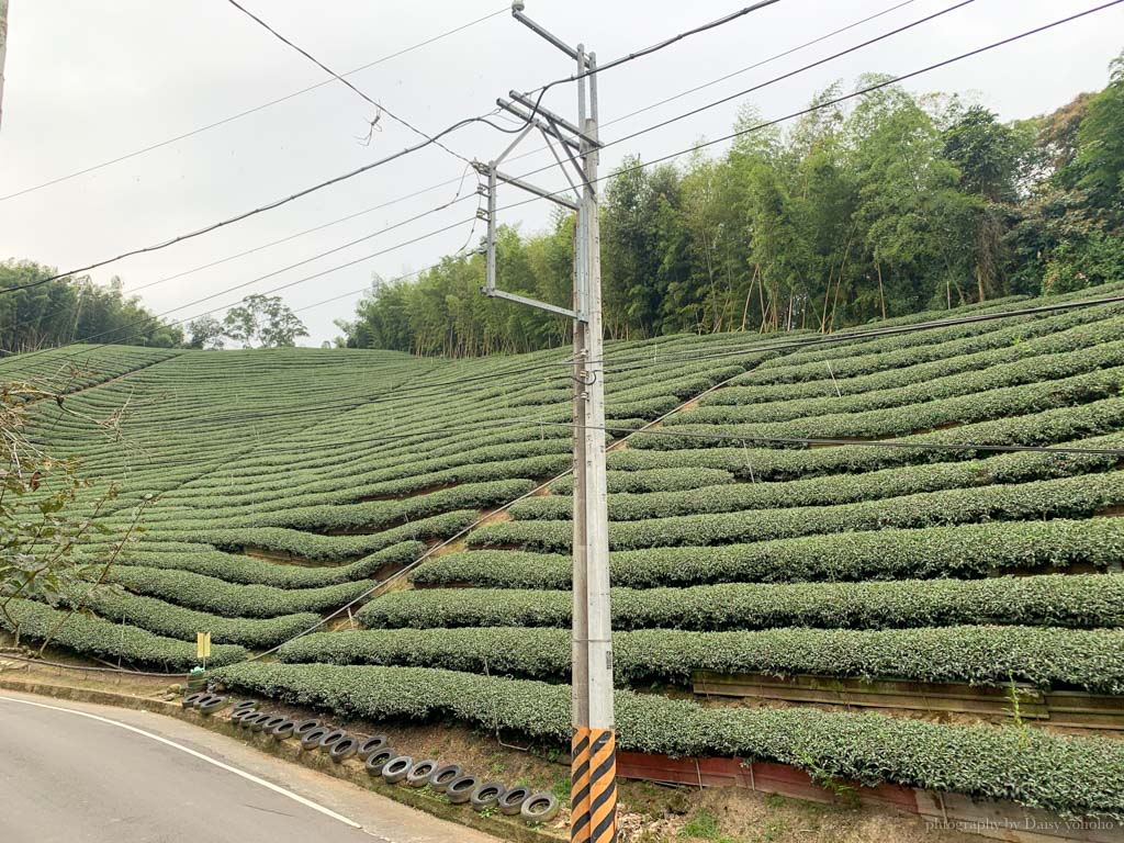 孟宗竹林古戰場｜長源圳生態步道，南投鹿谷小半天風景區的山間步道