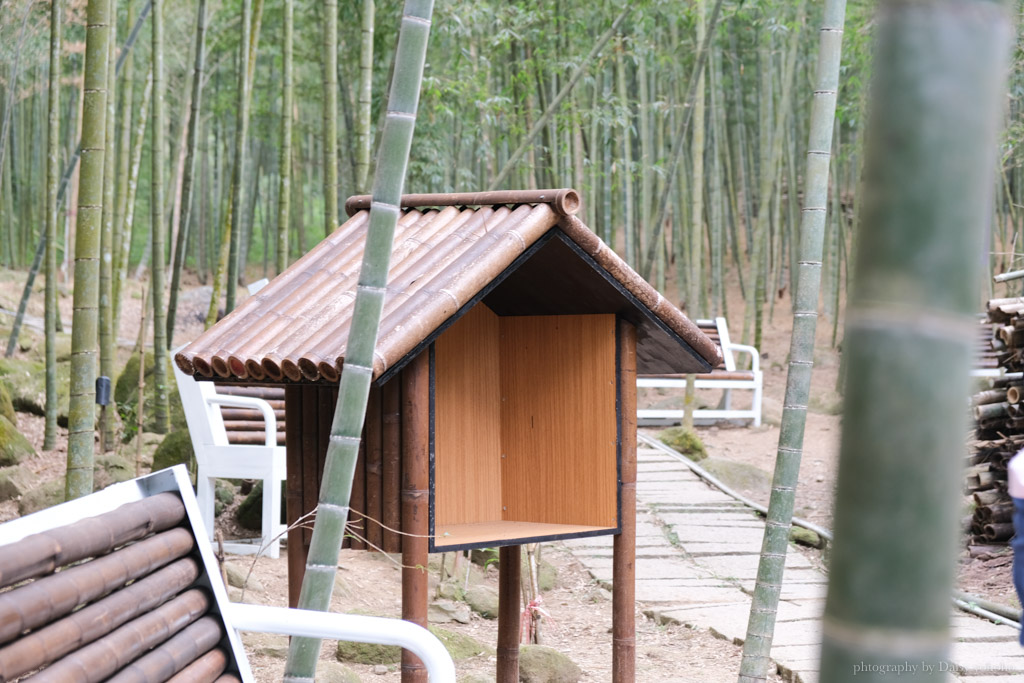 孟宗竹林古戰場, 小半天竹海, 南投鹿谷小半天風景區, 長源圳古道, 孟宗竹林步道, 鹿谷景點, 鹿谷步道