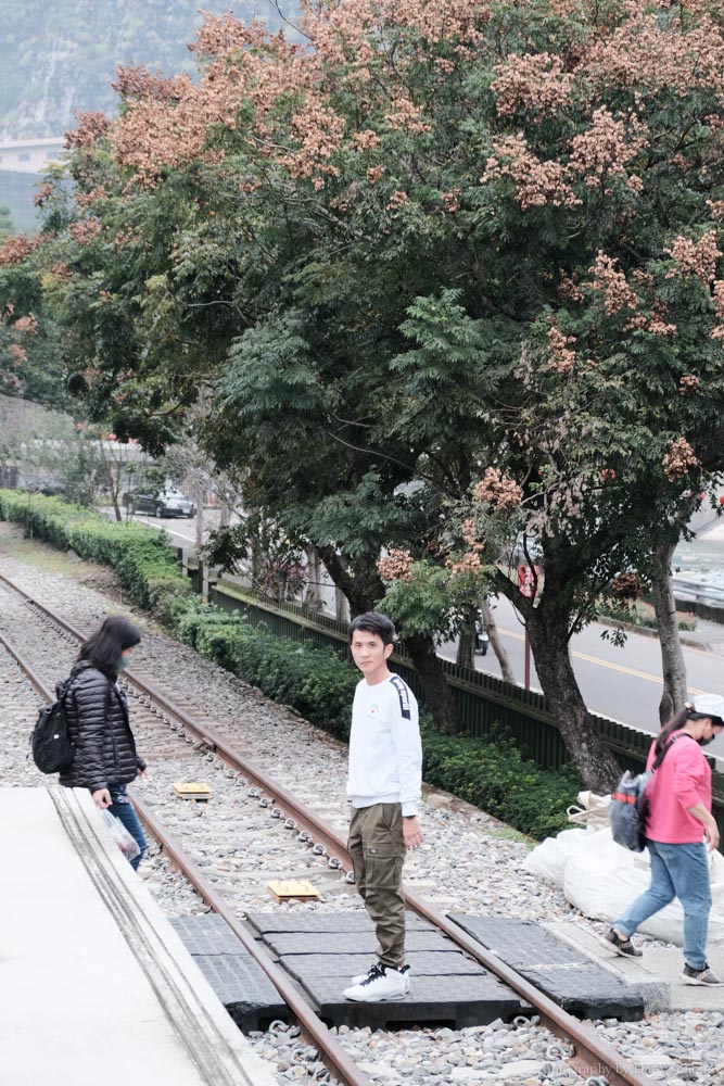 南投車埕一日遊｜山林間的車站老街、貯木池、車站鐵路、林班道體驗工廠