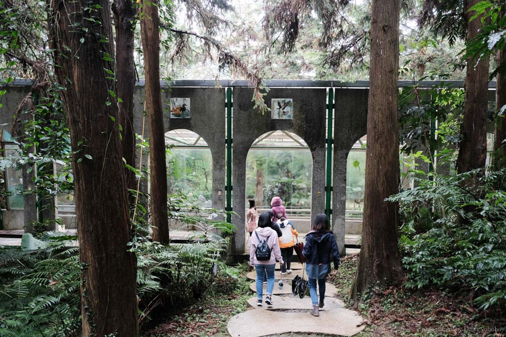 鳳凰谷鳥園生態園區, 鳳凰谷森林溜滑梯, 鳳凰谷門票, 鳳凰谷露營, 鹿谷景點