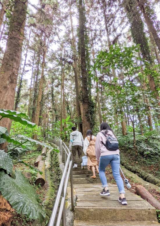 鳳凰谷鳥園生態園區, 鳳凰谷森林溜滑梯, 鳳凰谷門票, 鳳凰谷露營, 鹿谷景點