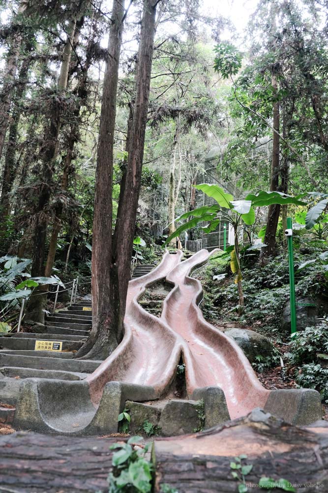 鳳凰谷鳥園生態園區，森林中的溜滑梯，背景音樂就是各種啾啾的鳥叫聲。