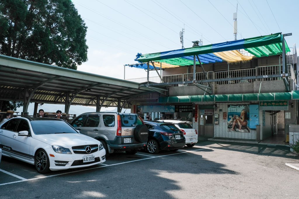 水里二坪枝仔冰, 二坪冰店, 水里伴手禮, 南投伴手禮, 水里古早味冰棒, 南投清冰, 枝仔冰宅配