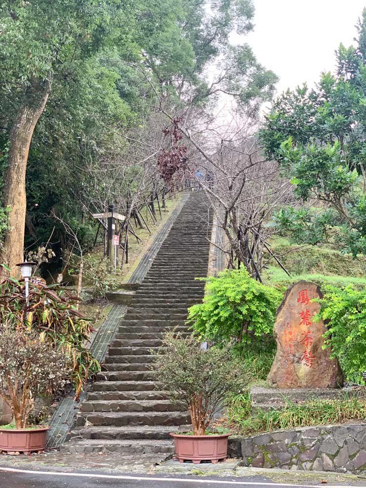 蟬說：鳳凰亭序，南投鹿谷鄉的山林間小木屋，一泊二食，入住臺大實驗林