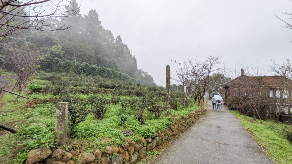 蟬說鳳凰亭序, 鹿谷住宿, 鹿谷小木屋, 南投住宿, 玻璃屋餐廳, 鳳凰亭序一泊二食, 鳳凰亭序晚餐, 台大實驗林, 鳳凰自然教育中心