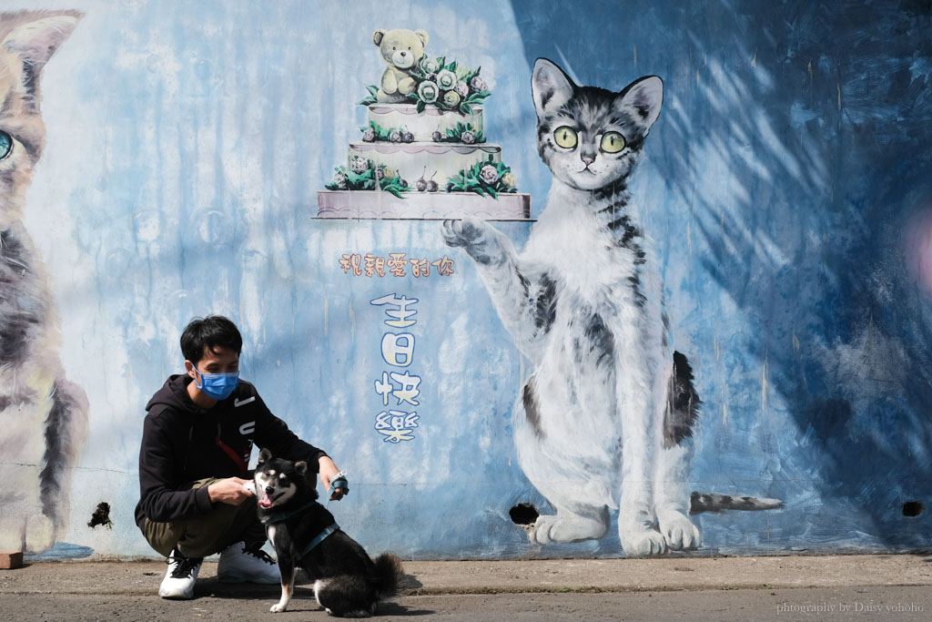 民雄菁埔貓世界, 菁埔社區貓世界, 民雄貓咪村, 嘉義景點, 嘉義民雄景點, 貓咪彩繪村