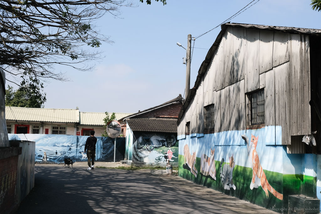 民雄菁埔貓世界, 菁埔社區貓世界, 民雄貓咪村, 嘉義景點, 嘉義民雄景點, 貓咪彩繪村