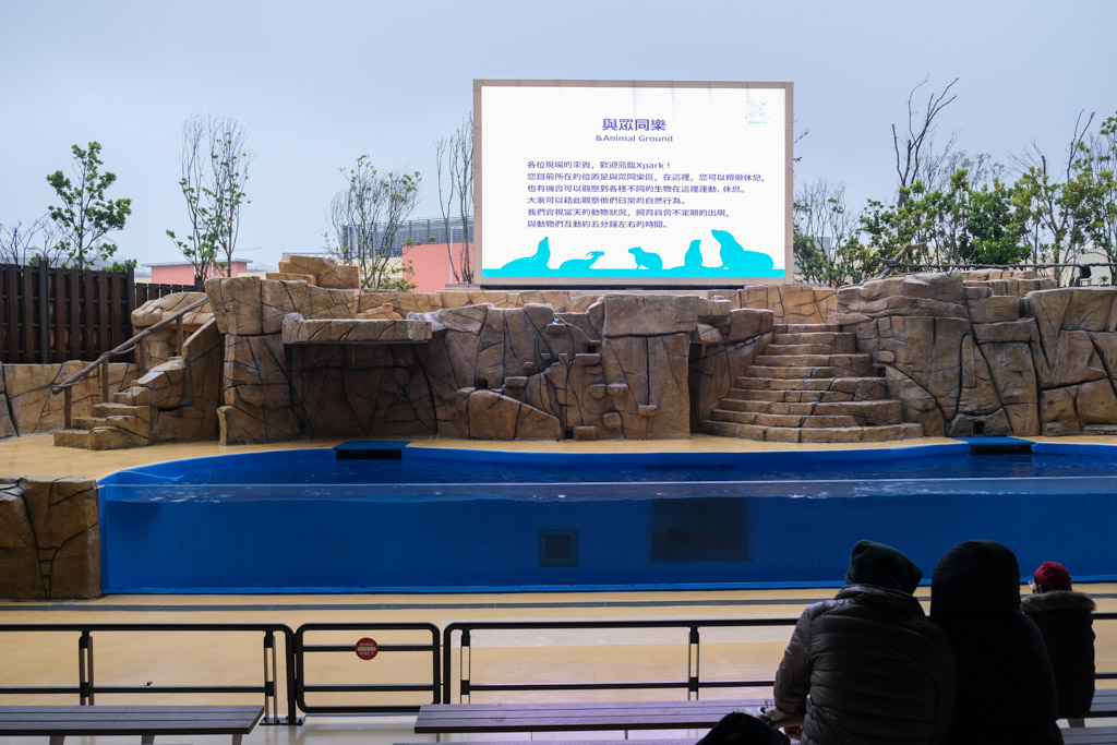 桃園水族館 Xpark 超夢幻水母牆！看著企鵝喝咖啡～門票優惠、住宿交通資訊