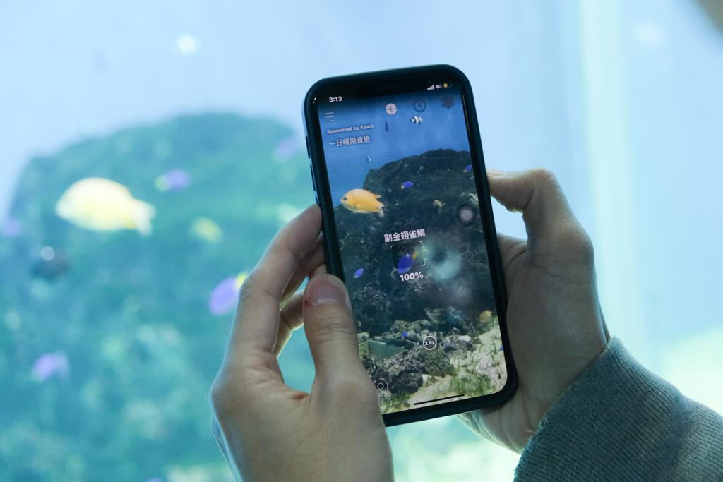 xpark, xpark餐廳, xpark住宿, 新埔都會型水生公園, Xpark門票優惠, 桃園水族館, Xpark逛多久 Xpark 互動 APP:認識魚兒的名字