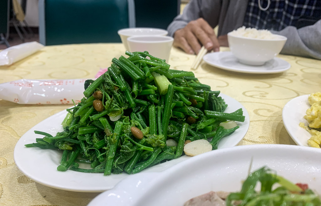 鄭炒手川菜館, 嘉義川菜館, 嘉義和菜, 民族路鄭炒手